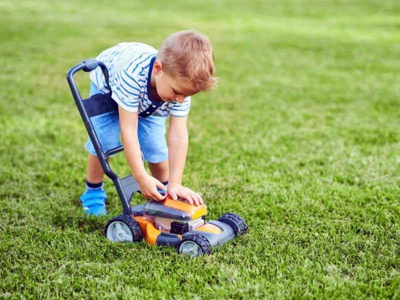 No. 3 Lawn Seed - Hard Wearing