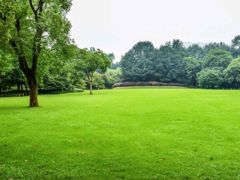 Parkland Grass Seed Mixture