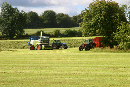Silage Mixture No. 4